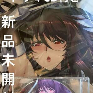【新品未開封】対魔忍 水城不知火 等身大マウスパッド ドラマCD付き