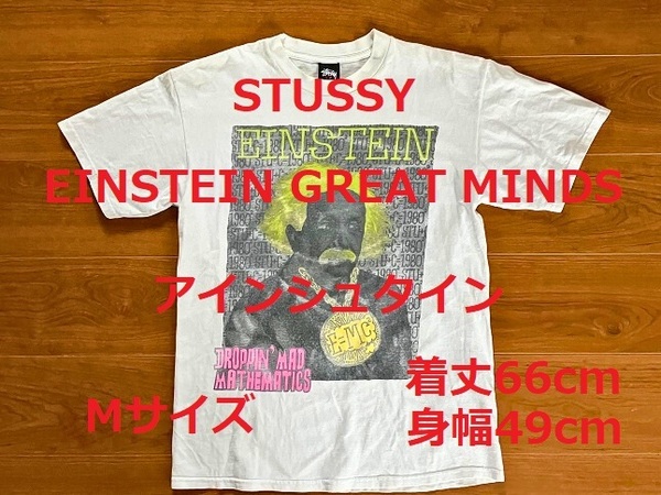 STUSSY Einstein Great Minds Mサイズ ステューシー Tシャツ アインシュタイン グレート マインド 半袖 ホワイト