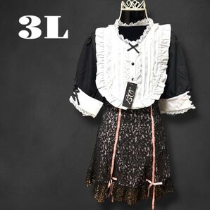 夢展望 大きいサイズ セット