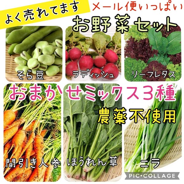 野菜セット 農薬不使用 おまかせミックス3種 ほうれん草 間引き人参 ニラ ラディッシュ そら豆 レタス 詰め合わせ
