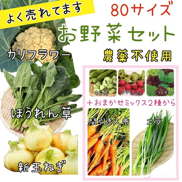 野菜セット 80サイズ 農薬不使用 カリフラワー 新玉ねぎ ほうれん草 おまかせ 間引き人参 ニラ ラディッシュ レタス そら豆