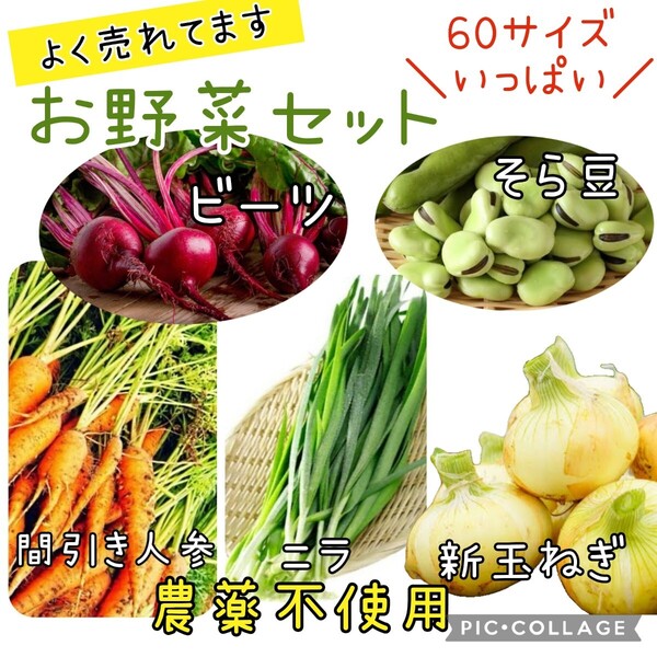 野菜セット 新玉ねぎ 間引き人参 ニラ そら豆 ビーツ 詰め合わせ 農薬不使用