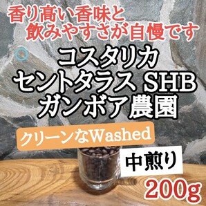 コーヒー豆 注文後焙煎 コスタリカ セントタラス SHB 200g