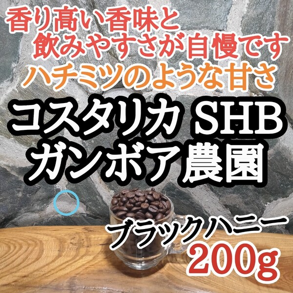 コーヒー豆 注文後焙煎 コスタリカ SHB ブラックハニー 200g 自家焙煎