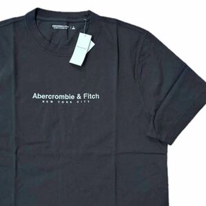 新品タグ付き★アバクロメンズの刺繍ロゴ Tシャツ★ブラック★サイズL