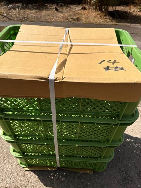 G4-14 送料無料【4個セット 】中古サンコー 無印 グリーン コンテナ 農業 家庭菜園 野菜果物の収穫 収納ボックス