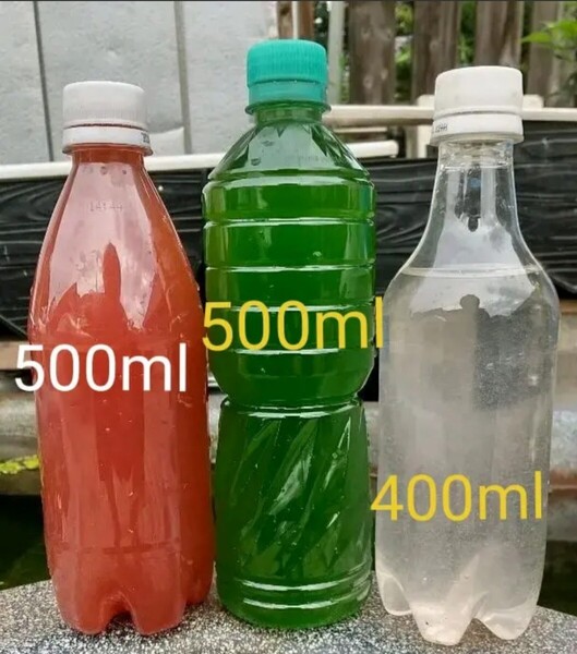 PSB(光合成細菌)500ml & グリーンウォーター(青水、種水)500ml & ゾウリムシ種水 400ml。めだか 金魚 メダカ ミジンコ