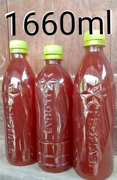 PSB (光合成細菌) 1660ml。 ペットボトル発送。めだか ゾウリムシ 金魚 ミジンコ グリーンウォーター らんちゅう メダカ