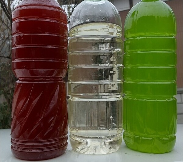 PSB(光合成細菌)500ml &天然 グリーンウォーター(青水、種水)500ml & ゾウリムシ種水 400ml。めだか 金魚 メダカ ミジンコ