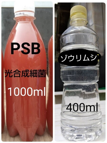 ゾウリムシ 種水 400ml & PSB(光合成細菌) 1000ml。ペットボトル発送!メダカ 金魚 ミジンコ