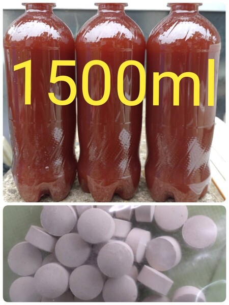 PSB(光合成細菌)1500ml & エビオス30錠 の出品です。バクテリア メダカ らんちゅう金魚 熱帯魚 ゾウリムシ めだか ミジンコ