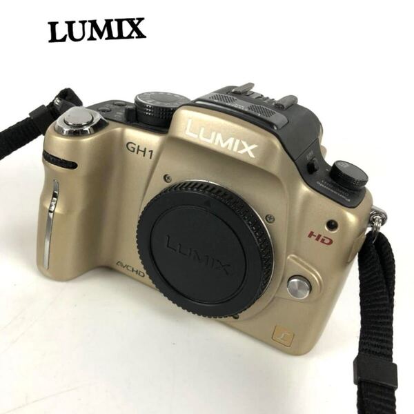 送料無料 Panasonic パナソニック LUMIX DMC-GH1 ゴールド HD動画撮影 ミラーレス一眼 カメラ