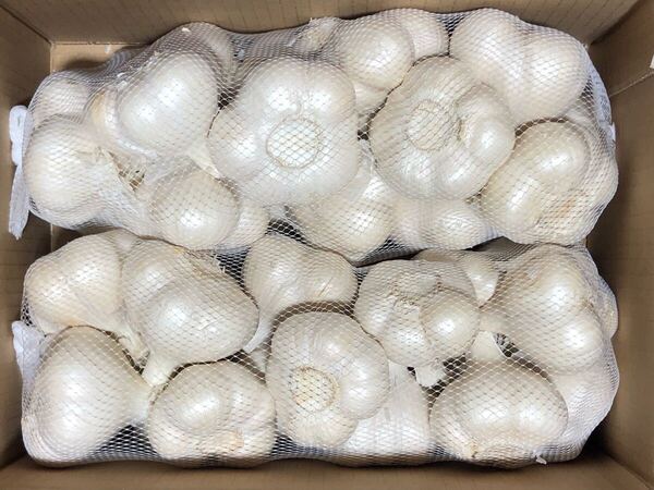 青森県産にんにく L 2kg ④