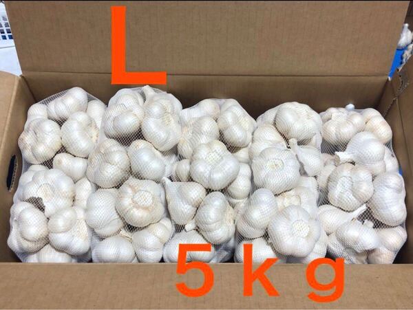 青森県産 にんにく L 5kg