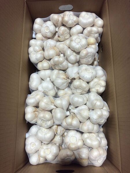 青森県産にんにく L 10kg