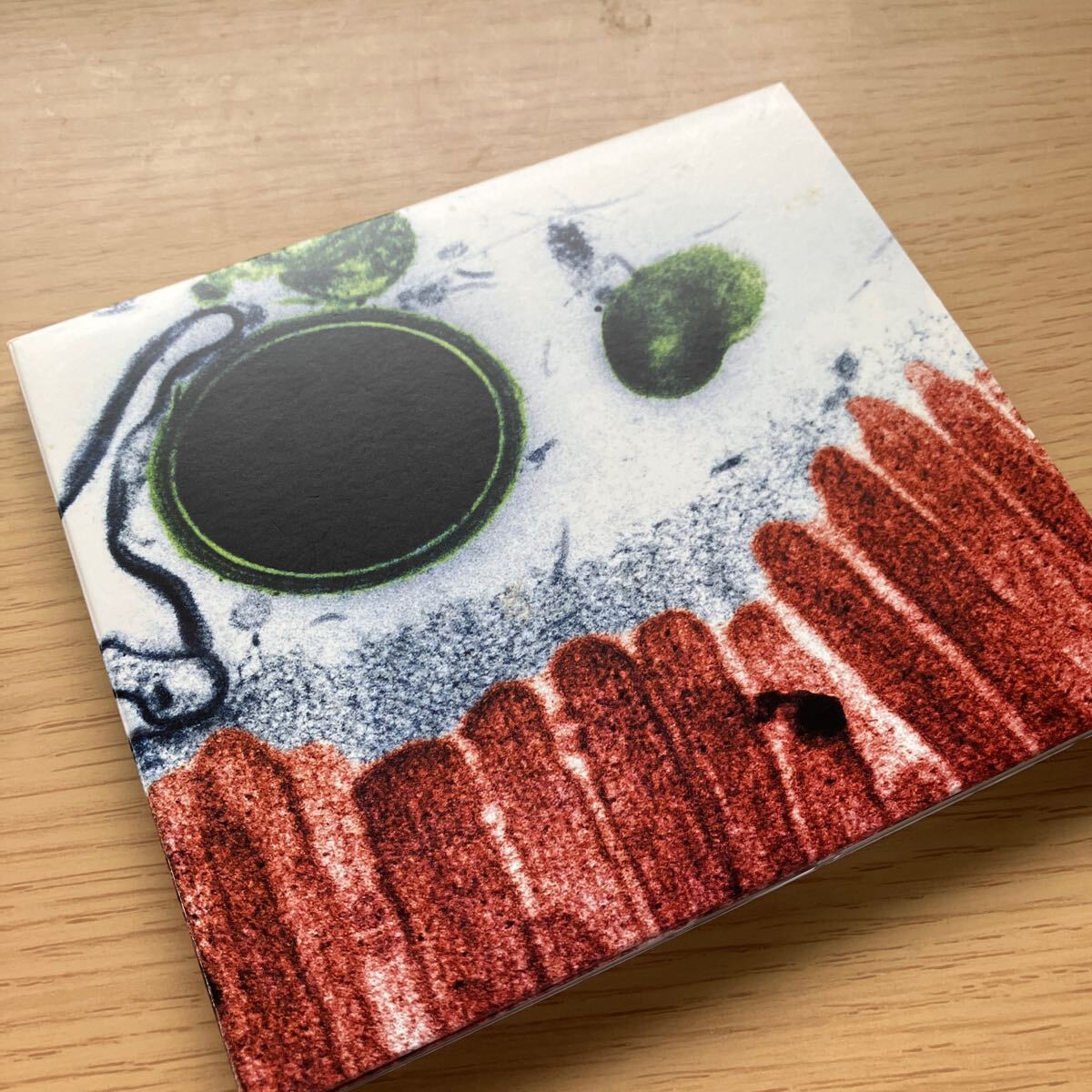 Yahoo!オークション -「プラスティックツリー」(CD) の落札相場