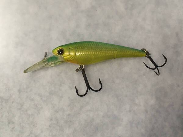 ベビーシャッド 50F ゴーストチャート ラッキークラフト Lucky Craft Bevy Shad (74)