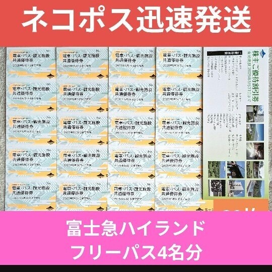 富士急行 株主優待券 10枚セット 富士急ハイランド フリーパス2枚分