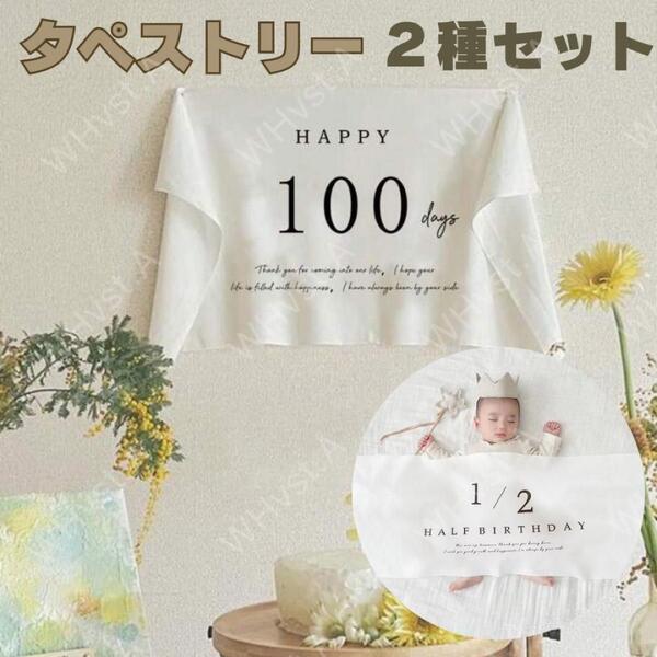 2点 100日祝い ハーフバースデー タペストリー 記念写真 セルフ撮影 2枚組