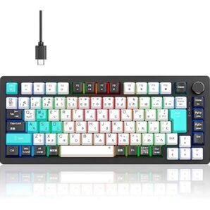 メカニカルキーボード KB820【2025年業界オリジナル開発・日本語配列とカナ印字一体】75% ガスケットゲーミングキーボード
