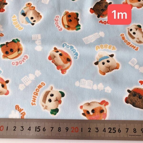 ハギレ 生地 布 オックス カットクロス 入園入学 キャラクター生地 110×100 綿100% モルカー プイプイモルカー 布 ブルー