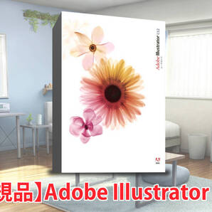 【正規品】Adobe Illustrator CS2 正規版シリアル付き 日本語対応