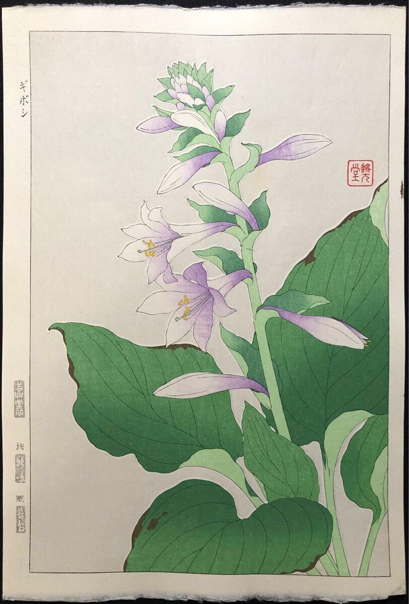 本物！河原崎奨堂 水蓮 木版画 新版画 花鳥画