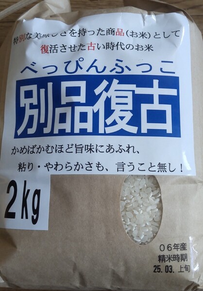別品復古 栃木県産 2kg 米