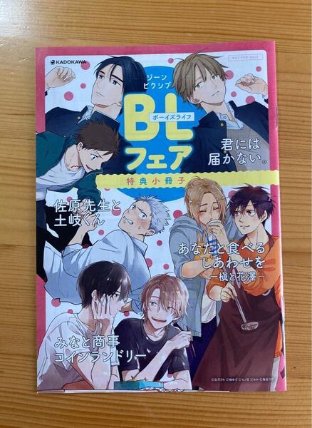 ★特典小冊子 ジーンピクシブ BLフェア みなと商事コインランドリー 君には届かない 佐原先生と土岐くん あなたと食べるしあわせを