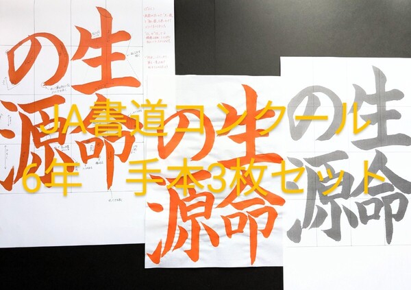 JA共済書道コンクール 手本3枚セット 6年 生命の源 令和7年度 書道 書写 毛筆 半紙