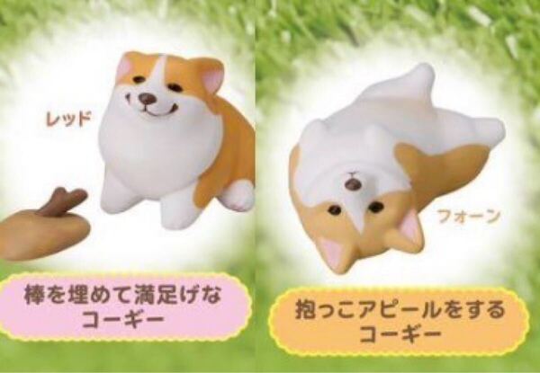 こぎさんぽ 2種セット