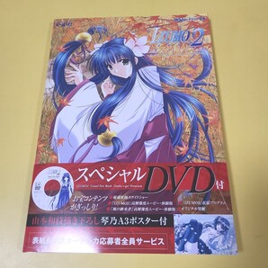 ★☆送料無料 即決 匿名配送 初版IZUMO2 ビジュアルファンブック DVD付き☆★