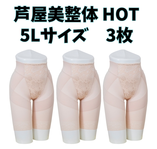 芦屋美整体 骨盤スリムショーツ HOT 5Lサイズ ベージュ3枚セット 補正下着