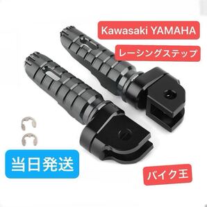 フットレスト バックステップ yzfr15 mt25 mt03 mt07 yzfr25 yzfr6 z250 ninja250 zx25r zx4r z650 ゼファー z900rs マフラー バイク