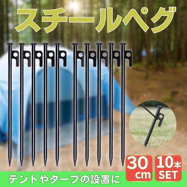 30cm スチールペグ 10本セット キャンプ バーベキュー ブラック テント タープ アウトドア ソロキャンプ フック 万能サイズ 公園 河原