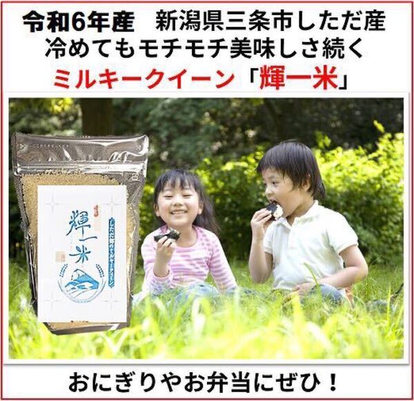 新米お試し 新潟産ミルキークイーン白米900g 新潟県三条市旧しただ村産 ミルキー100% 輝一米 冷めてもモチモチ、おにぎりお弁当などに?