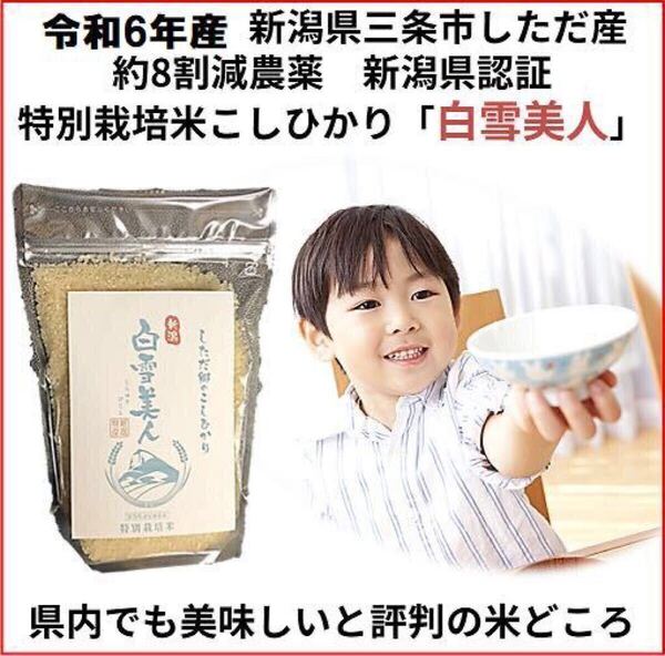 新米お試し 減農薬 新潟こしひかり白米900g 新潟県三条市旧しただ村産 新潟県認証 特別栽培米100% 白雪美人 送料無料 グルテンフリー