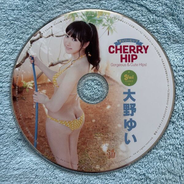 大野ゆい CHERRY HIP DVD ディスクのみ