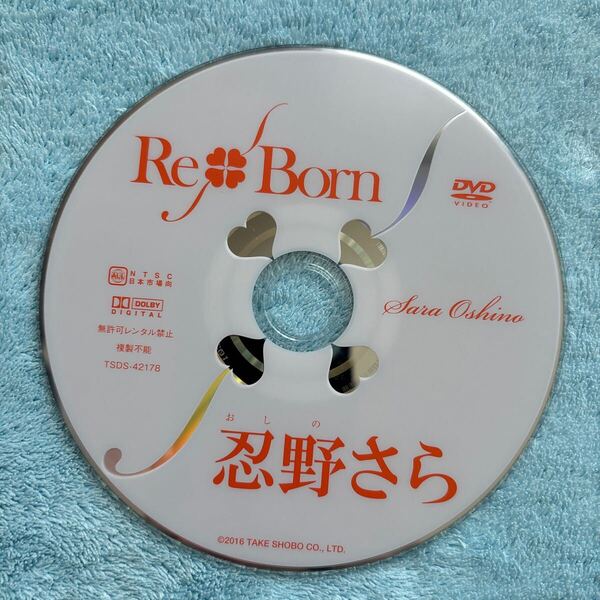 忍野さら Re Born DVD ディスクのみ