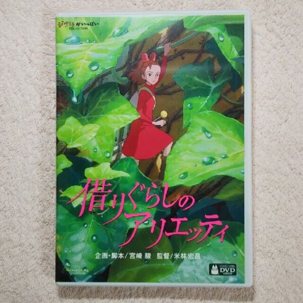 DVD 本編ディスクのみ 借りぐらしのアリエッティ スタジオジブリ
