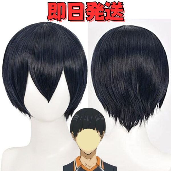 【送料無料】ハイキュー !! 影山飛雄(かげやまとびお) コスプレ ウィッグ ブラック 黒 ジャンプ 漫画 バレーボール かつら WIG 耐熱