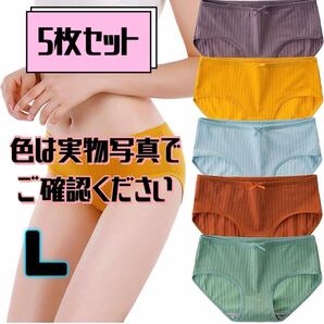 5枚セット ショーツ レディース パンツ 綿 優しい肌触り 抗菌 吸湿 蒸れにくい 女性 下着 まとめ売り L