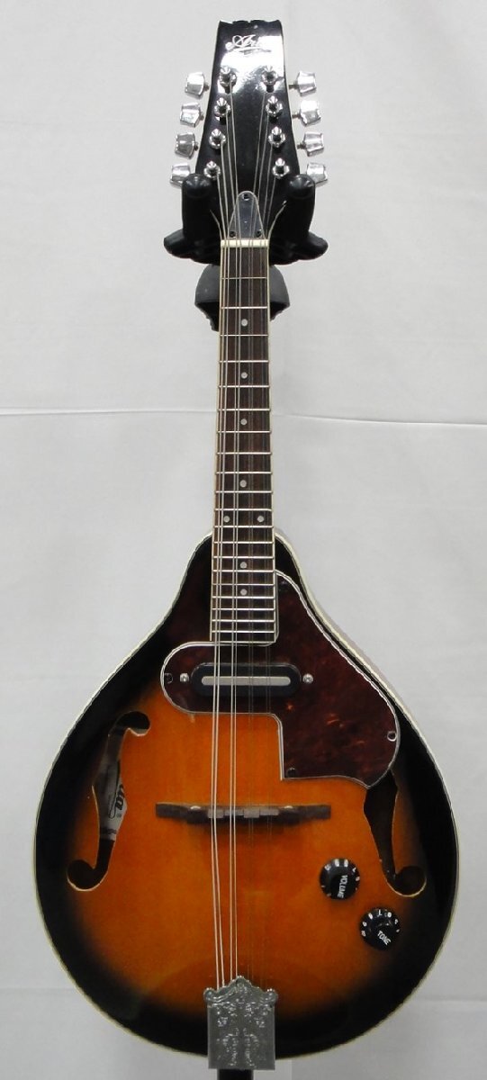フラットマンドリン＆バンジョー（Frat Mandolins&Banjos