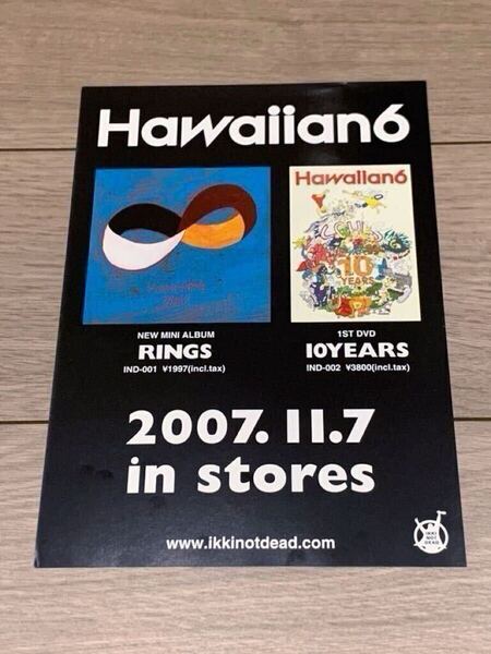 ◎送料無料【 Hawaiian6 】 RINGS & 10YEARS フライヤー B5サイズ ★ ikki not dead pizza of death ハワイアン6 hi-standard 名作 ライブ