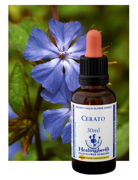 5.セラトー♪ヒーリングハーブス社のフラワーエッセンス(Cerato)30ml入り♪新品■Healing Harbs Flower Essence■フラワー・レメディー