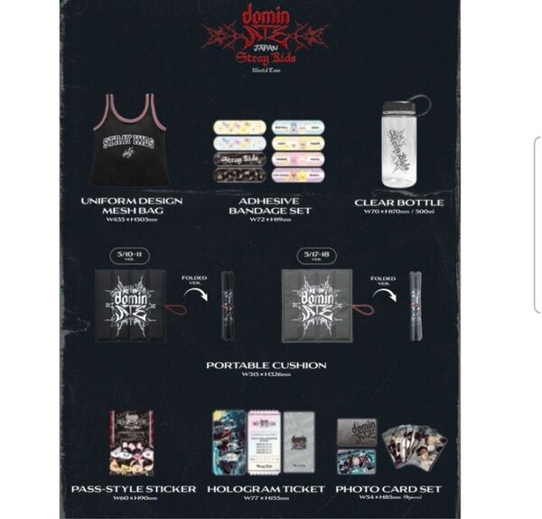 straykids スキズ dominate アプグレグッズ エコパ スタジアム アップグレード stray kids 樂 フィリックス ポガリ ヒョンジン