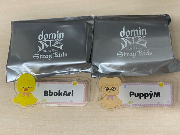 スキズ ランダムネームバッジ デンニャン パピーム ポガリ フィリックス バッチ stray kids スンミン straykids エコパスタジアム