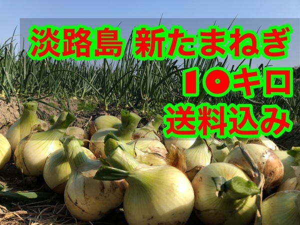 七宝 淡路島 新玉ねぎ 早生たまねぎ 10キロ