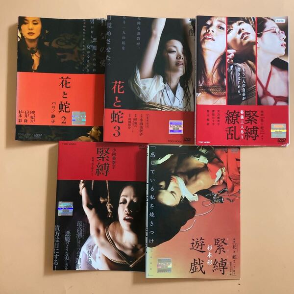 映画 花と蛇 作品シリーズ 5巻セット 管理番号22721 DVD レンタル落ち 杉本彩 小向美奈子