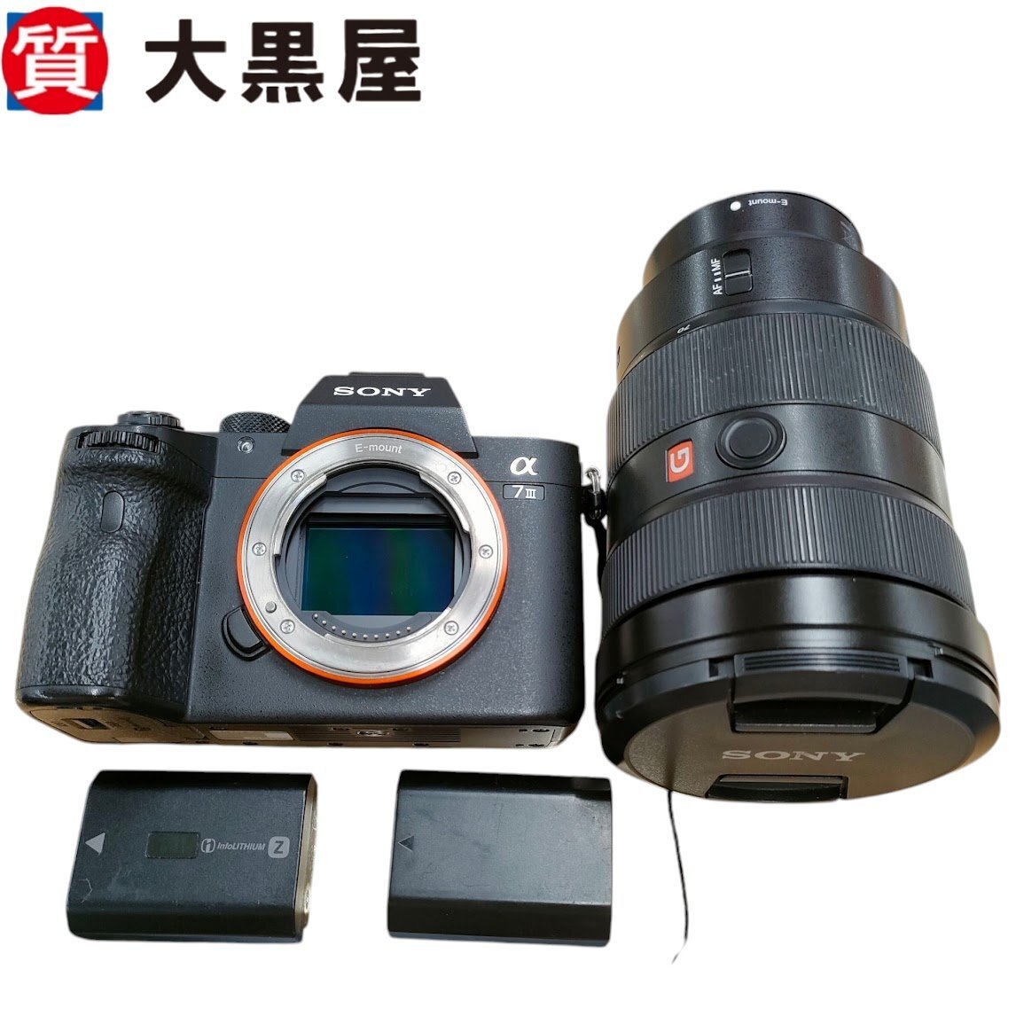 2024年最新】大人気ブランドの人気アイテム SONY 充電器無し